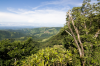 Costa Rica, Hgelige Landschaft von Monteverde