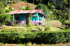 Costa Rica, Halbinsel Osa: Kleine Htte am Wegesrand