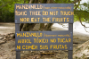 Costa Rica, Nationalpark Manuel Antonio: Warnung vor dem Manzanillobaum