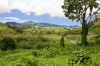Costa Rica, Monteverde: Grne Hgellandschaft