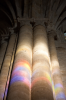 Spanien, Provinz Rioja, Santo Domingo de la Calzada: Farbige Flecken auf einer gotischen Sule der Kathedrale
