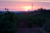 Spanien, Provinz Rioja: Sonnenaufgang ber einem Weinfeld bei Ventosa 