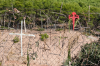 Spanien, Provinz Rioja: In Maschendrahtzaun geflochtene Kreuze am Wegesrand