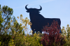 Spanien, Provinz Rioja: Osborne-Stier in der Landschaft