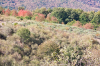 Herbstliche Landschaft in den Montes de Len zwischen El Acebo und Riego de Ambrs