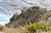 Kap Finisterre: Pilger klettert auf den zerklfteten Felsklippen hinunter zum  Meer 