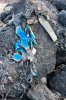 Kap Finisterre: Das letzte Pilgerritual, die Verbrennung von auf der Wanderschaft getragener Kleidung