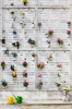 Italien, Venedig: Mit Blumen geschmckte Bestattungsmauer auf der Friedhofsinsel San Michele