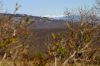 Italien, Umbrien: Umgebung von Tuoro sul Trasimeno: Blick ber die Landschaft auf die Sibillinische Berge am Horizont