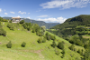 Italien, Sdtirol, Dolomiten: Eine liebliche Berglandschaft am Fue des Schlern