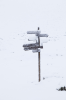 Italien, Sdtirol, Dolomiten: Verschneite Wegweiser vor der Puezhtte