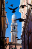 Venedig, Veneto, Italien: Taubenalarm in der Calle Scuola
